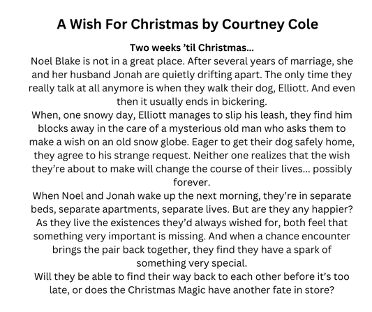 Holiday 2024 Limited-Edition Book Club Box (One-Time)